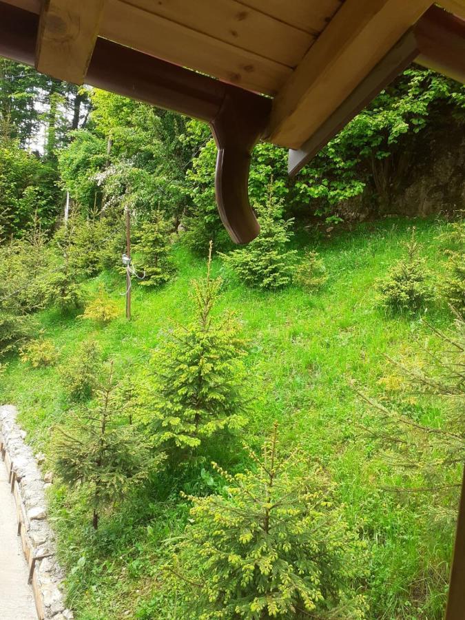 Casa Maia Dambovicioara Otel Dış mekan fotoğraf