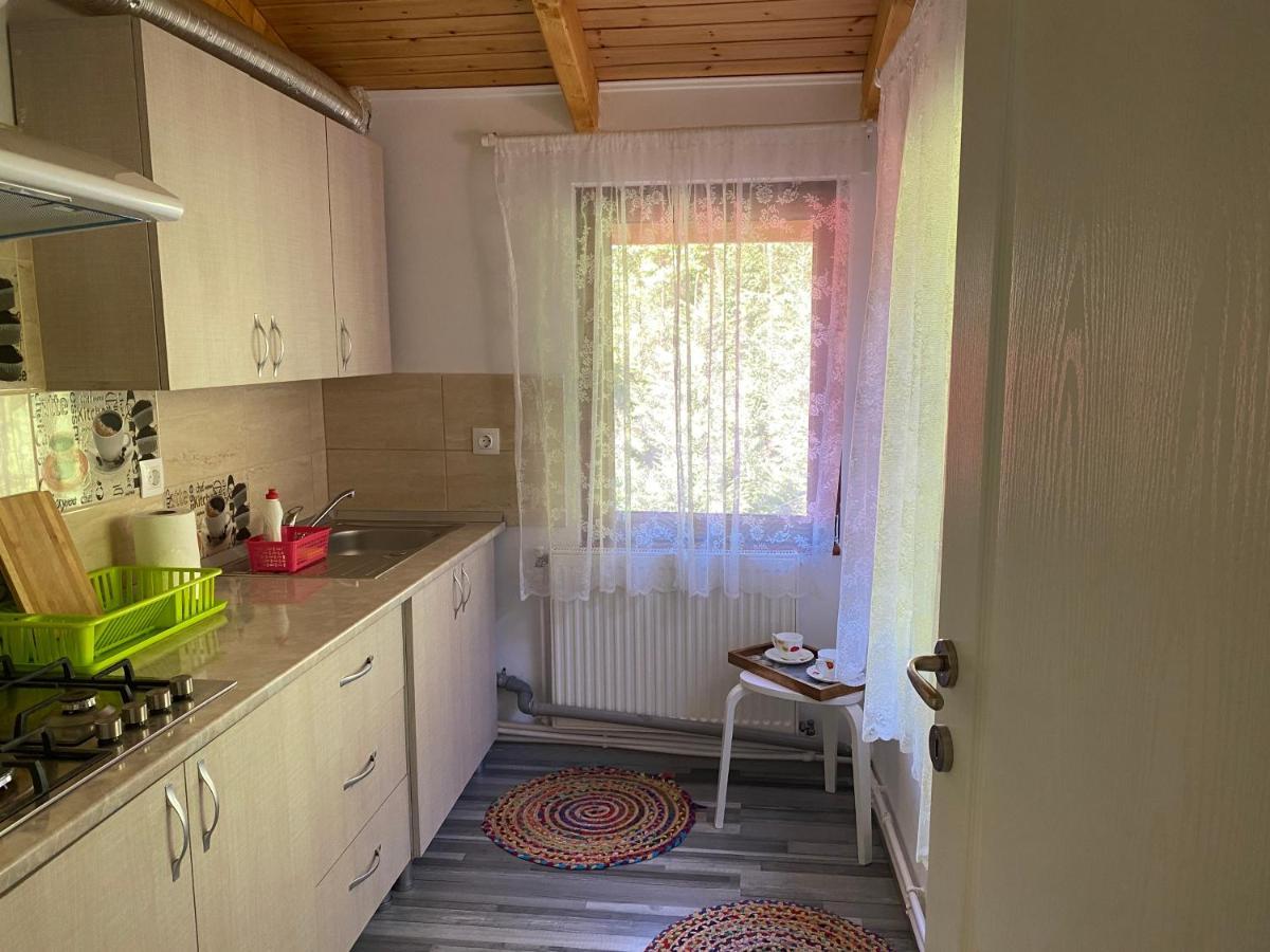 Casa Maia Dambovicioara Otel Dış mekan fotoğraf