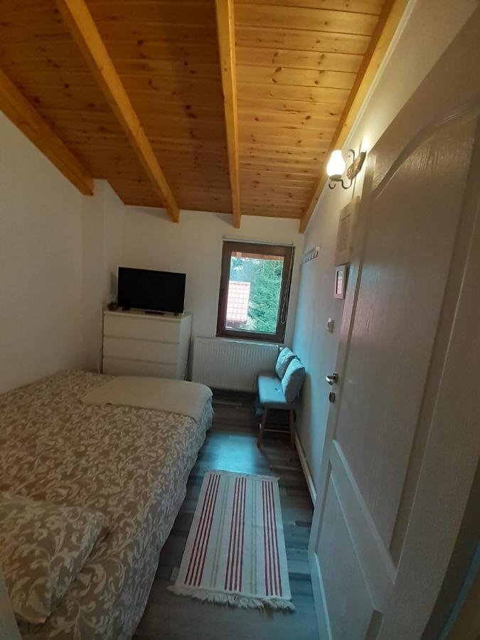 Casa Maia Dambovicioara Otel Dış mekan fotoğraf