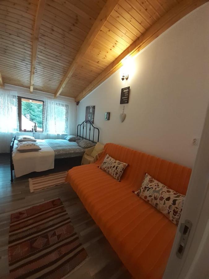 Casa Maia Dambovicioara Otel Dış mekan fotoğraf
