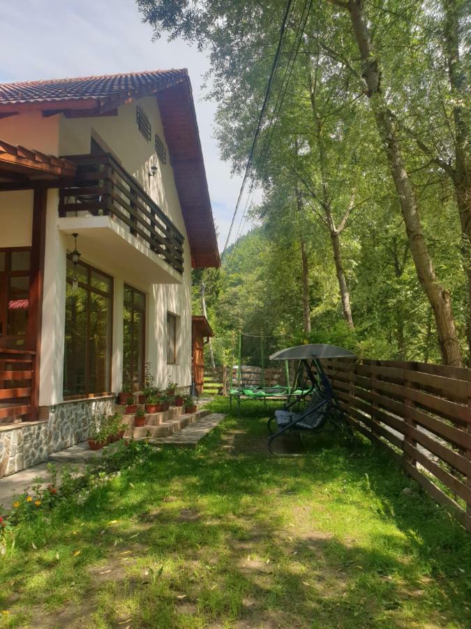 Casa Maia Dambovicioara Otel Dış mekan fotoğraf
